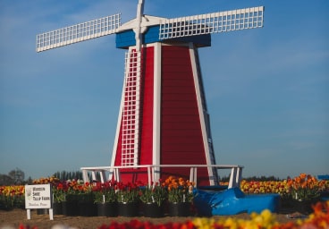 Home budget hotel attraction img 6 min